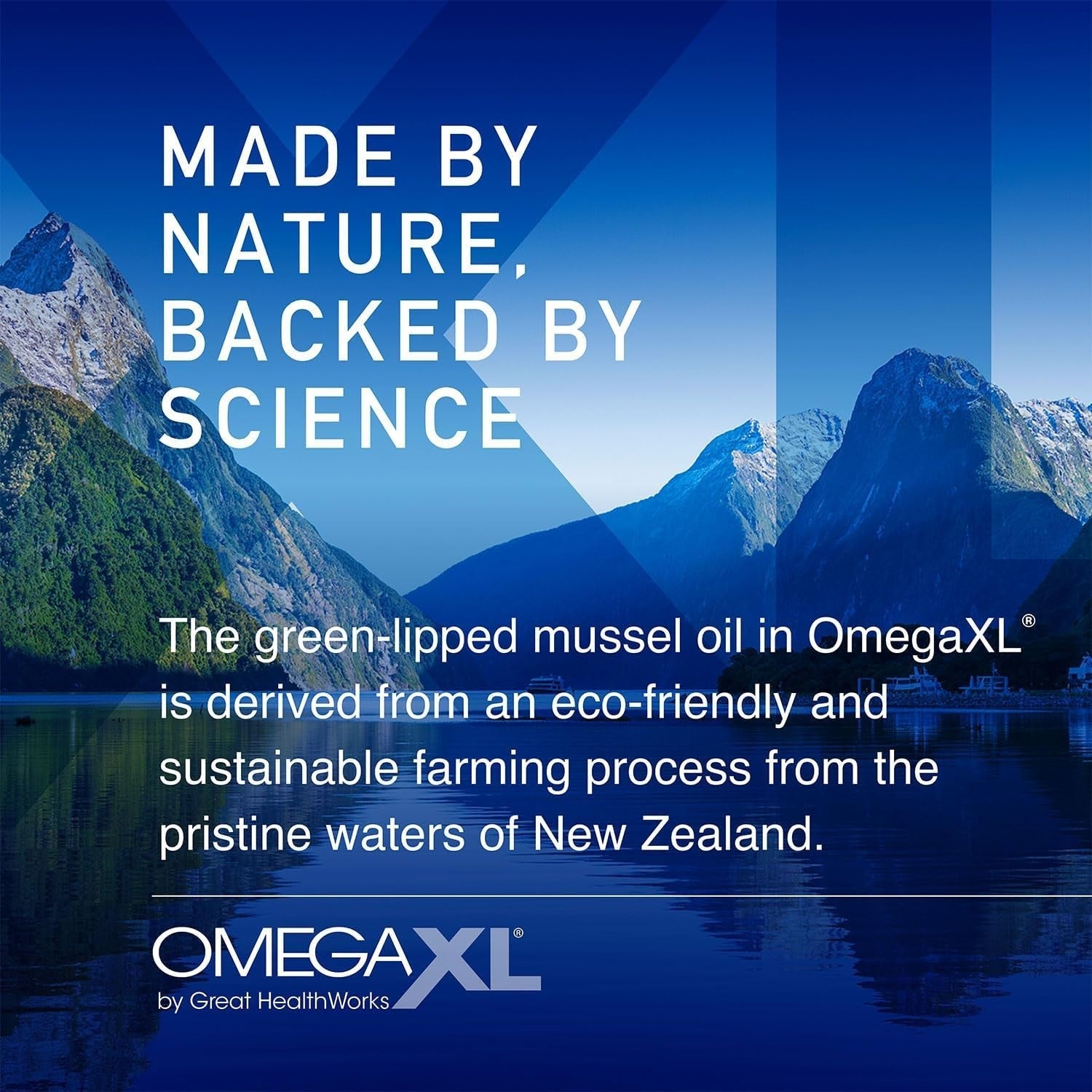 Omegaxl Joint Support Supplement - Natural Muscle 120 Count (Pack of 1)