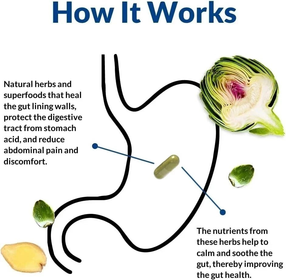 Gut Alive For Restoring Gut Lining - 60 Count